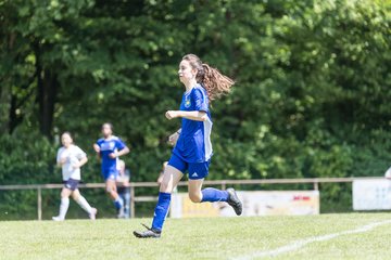 Bild 24 - wBJ VfL Pinneberg - Harksheide : Ergebnis: 2:1